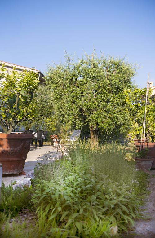 Hotel Dolce Sosta Lucca Exteriér fotografie